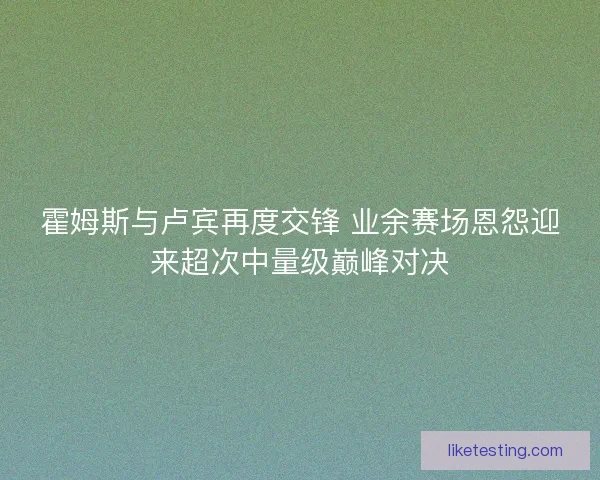 霍姆斯与卢宾再度交锋 业余赛场恩怨迎来超次中量级巅峰对决