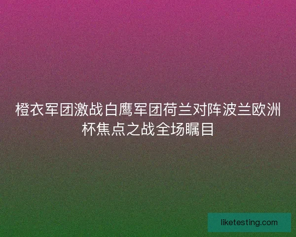 橙衣军团激战白鹰军团荷兰对阵波兰欧洲杯焦点之战全场瞩目 橙衣军团激战白鹰军团荷兰对阵波兰欧洲杯焦点之战全场瞩目